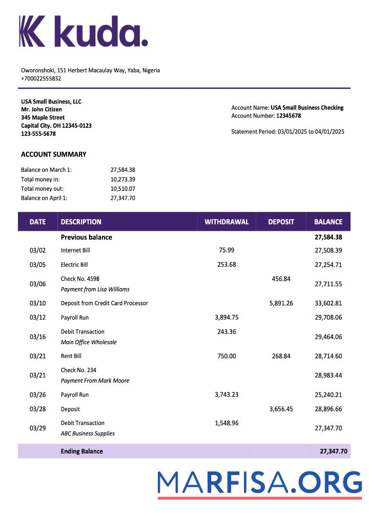 Realistic Nigerienia KudaBank organization account statement Word and PDF template